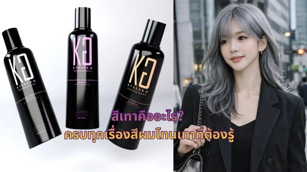 สีเทาคืออะไร? ครบทุกเรื่องสีผมโทนเทาที่ต้องรู้